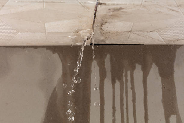 Professional Structural Drying technician working in Hazelhurst, WI